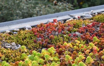 the cost of Newton Of Falkland green roof installation