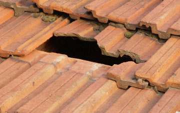 roof repair Newton Of Falkland, Fife