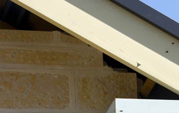 soffit repair Newton Of Falkland